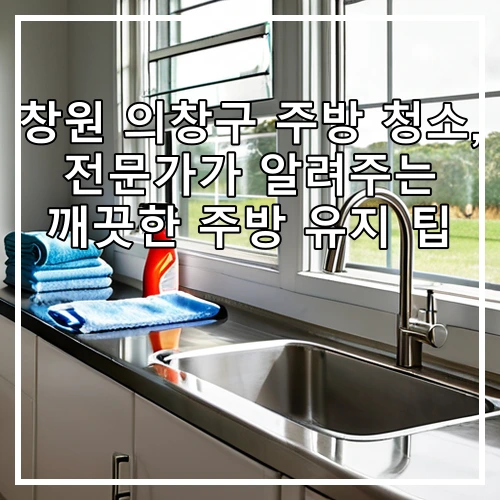 창원 의창구 주방 청소, 전문가가 알려주는 깨끗한 주방 유지 팁
